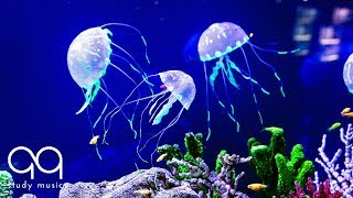 Beautiful Aquarium \u0026 Deep Focus Music 🔵 Binaural Beats with Underwater Background