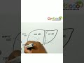 How to Draw Liver Anatomy #Shorts