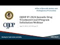 OJJDP FY24 Juvenile Drug Treatment Court Program Solicitation Webinar