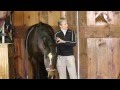 Equine Chiropractic Session with Dr. Patricia Blakeslee