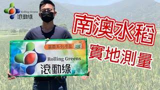 The RichFarm Series: Surveying Rice Fields in Nanao | Rolling Greens