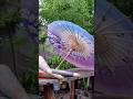 Century Old OilPaper Umbrella 🏖️#shorts #youtubeshorts #trending#subscribe #youtube #youtuber#china