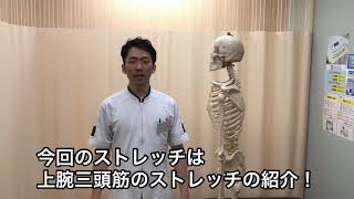 【肘の痛みや動きを解消！】上腕三頭筋のストレッチ！