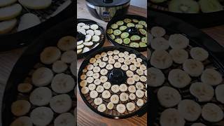 Dehydrating Fruit 🍎