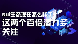 sui和顶级赛车合作之后，引发了暴跌，生态上线一个月后的现状如何？