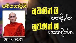 නුවණින් ම පහදින්න. නුවණින් ම අපහදින්න. |​ සම්පසාදනී ධර්ම දේශනා මාලාව | 2023-03-31