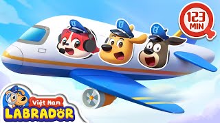🛫 Những điều cần biết khi ta đi tới sân bay 👮 Cảnh sát trưởng Labrador Vietnam 🚔