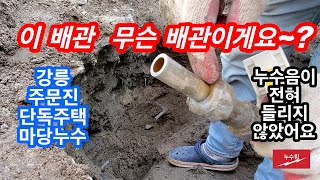 강릉 주문진 가정집 앞마당 누수 (누수음이 전혀 들리지 않았던 현장)