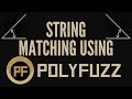 Fuzzy String Matching with BERT, TF-IDF using PolyFuzz