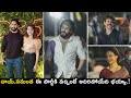 Most Eligible Bachelor Success Party | Nagarjuna | Amala | Akhil Akkineni | Samantha,Naga Chaitanya