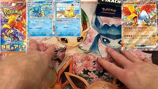 DES NOUVELLES CARTES POKEMON POUR EV9 OU EV10 DU LOURD