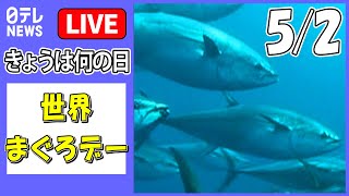 【きょうは何の日】『世界まぐろデー』100キロ超の巨大マグロ“素手”で捕獲　漁師「チームプレイで」　など ニュースまとめライブ（日テレNEWS LIVE）