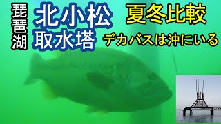 【琵琶湖・バス釣り】北小松で水中撮影、バス釣りしてきた。琵琶湖の湖西のポイント攻略。