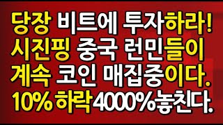 [도리279강] 강하게 사라! 지금 비트에 투자하라! / 시진핑 비트 할수없다. 인민들 넘 코인 산다.  / 10% 하락 기다리다 4,000% 수익 놓친다.