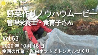 【家庭菜園ノウハウ】10月！今回の作業/防虫ネットでトンネルづくり【食育子さん・ハタムスビ63】