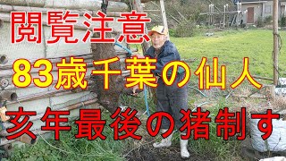 2019 12 28【閲覧注意】［有害駆除］83歳千葉の仙人　亥年最後にイノシシを制す　イノシシ電気止め刺しご理解ある方のみご視聴してください。