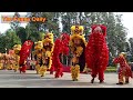 The Dragon Lion Play in Chinese Embassy in Cambodia #china #lion #dancing #dragon