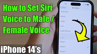 iPhone 14/14 Pro Max: How to Set Siri Voice to Male / Female Voice
