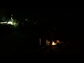 Revival Firework # The Beer Review Guy