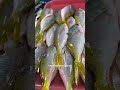 Ormoc city Philippines fish market #shortvideo #video  #viral  #viralvideo #viralshorts  #vacation