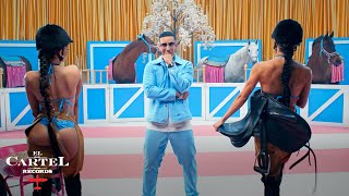 Daddy Yankee - El Pony ( Oficial)