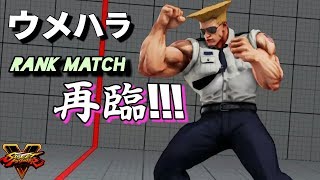 スト5 ウメハラ(ガイル) 久々のランクマでも超強い 3連戦！ SF5