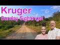 Kruger - Sunday Sightings! Ep 727