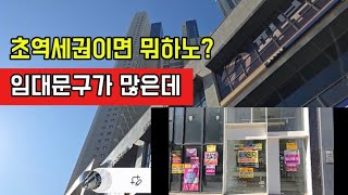 초역세권이고 뭐고 소용없다. 여기도 임대문구가...