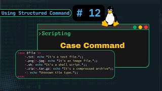 case command vs if-then in shell script #shellscripting12 #SudoIt #linux #automation