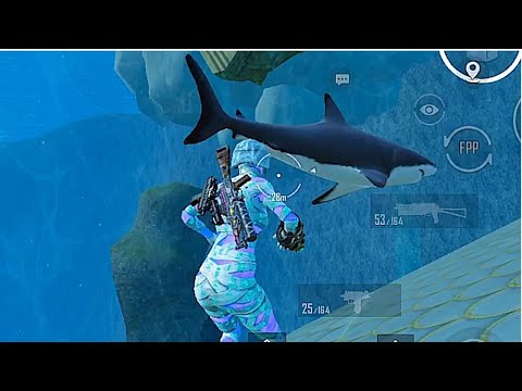 Nunca nades cerca de los tiburones en pubg mobile…