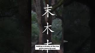 Simple Ideographs with 木 "Tree" #shorts