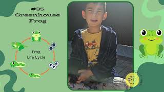 #35.Greenhouse #frog. Educational Videos with Leo. #cartoon #bugs #insects #nature #educational