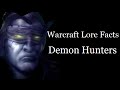 Warcraft Lore Facts - Demon Hunters