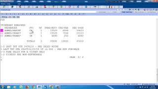 Amadeus Booking Adult with child and infant in Bangla