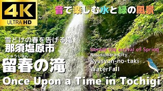 栃木県　那須塩原市　留春（りゅうしゅん）の滝　音で楽しむ水と緑の風景