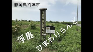 浮島ひまわりらんどへ行ってきた（静岡県沼津市平沼）