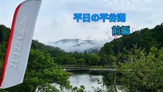 【管釣り】平日の平谷湖フィッシングスポット 前編【エリアトラウト】