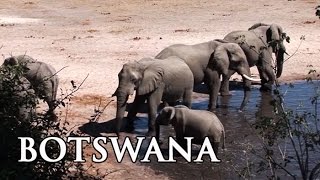 Botswana: Highlights in Afrika - Reisebericht