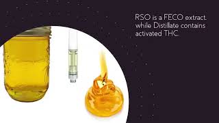 Understanding The Difference Between Distillate And RSO