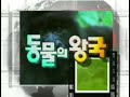 kbs1 동물의 왕국 op ed 2004년