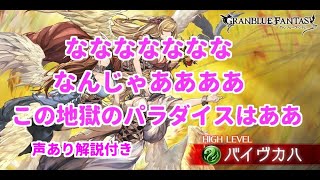 【グラブル】イクサバ3本でバイヴカハソロ解説＆黒猫道士解説動画【声あり解説】