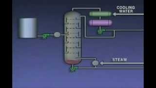 Biodiesel Made from a Byproduct of Kraft Pulping