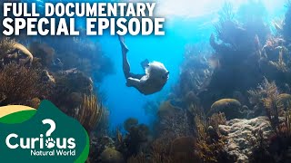 Near-Death Experiences in Bermuda Expedition | Full Documentary