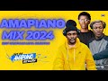 GROOVE AMAPIANO MIX 2024 | BEST SELECTION | MDU AKA TRP & MORE!!!