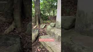 【徳之島】氏神様・山のナゴリ山神社 #shorts #徳之島 #tokunoshima #guardiangod