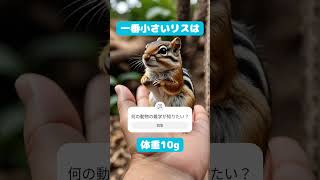 シマリスは手のひらサイズ🖐️ Chipmunks are palm-sized #chipmunk #かわいい #animals #cute #shorts