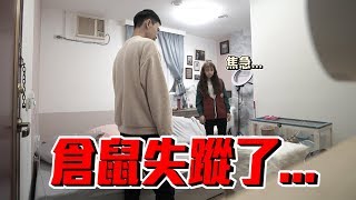 愛寵倉鼠失蹤了！女友焦急尋找竟發現...【眾量級CROWD｜PRANK互整情侶特輯】