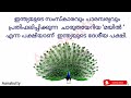 ഇന്ത്യയുടെ ദേശീയ പക്ഷി മയിൽ കുറിപ്പ് തയ്യാറാക്കാം national bird of india peacock note in malayalam