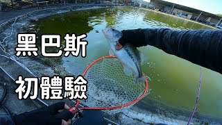 大釣黑巴斯