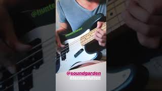 Soundgarden - Face Pollution (Bass cover bridge only)